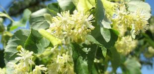 Що чекає на українців в липні: вісім нововведень, які торкнуться майже кожного