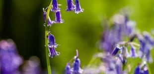 Гороскоп на 6 травня для всіх знаків зодіаку: день, коли енергетика дня дає сили для будь-яких звершень