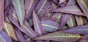 Гороскоп на 24 вересня для всіх знаків зодіаку: день, коли може здатися, що життя прожите даремно