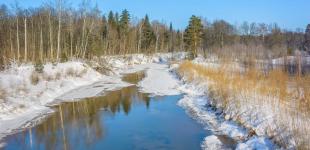 Гороскоп на 22 лютого для всіх знаків зодіаку: день, коли треба діяти