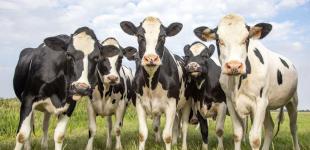 Гороскоп на 19 липня для всіх знаків Зодіаку: день, коли важливо підпорядкувати собі енергетичний потік