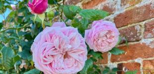 Гороскоп на 23 червня для всіх знаків зодіаку: день, коли краще не виходити з дому