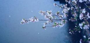 У яких регіонах України задощить та стане холодніше: новий прогноз синоптиків