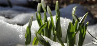 24 лютого Україна буде однією з найтепліших країн Європи, однак є небезпечний нюанс