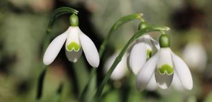 Період похолодання. Синоптики попередили наскільки знизиться температура найближчими днями та де пройдуть опади