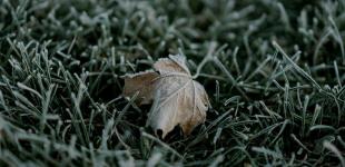 Коли чекати на заморозки та мокрий сніг: прогноз погоди на найближчі 10 днів