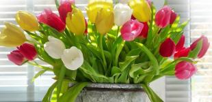 Один день буде дуже тепло, потім похолоднішає. Синоптик дала прогноз до вихідних