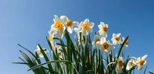 В Україні погода, як ніколи, нестабільна: що чекати 7 квітня