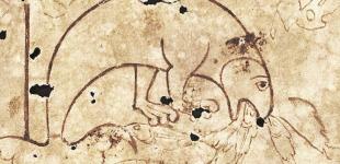 Вчені розгадали таємницю страшного скандинавського морського чудовиська