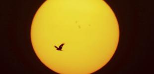 Земля постраждала від великого викиду частинок із Сонця – NASA