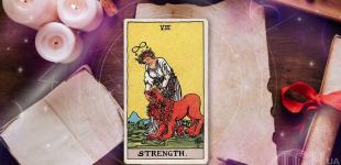 Гороскоп за картами Таро 25 серпня 2025 року: щедрість для Тельців, ясність для Раків