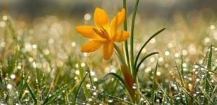 Народний синоптик Діденко попередила про різку зміну погоди в Україні — де очікувати дощі