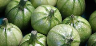 Кетчуп з кабачків: рецепт соусу, що смакуватиме з першої ложки