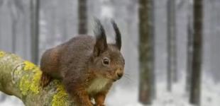 Розгул антициклону з потеплінням: прогноз погоди на вихідні та Новий рік