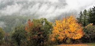 В Україні знову буде тепло: прогноз погоди на тиждень, 7-13 жовтня