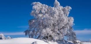 Гороскоп на 12 грудня для всіх знаків зодіаку: день потужної творчої енергії