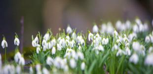 Середа в Україні буде холодною та мокрою: де знадобиться парасолька