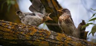 Гороскоп на 10 квітня для всіх знаків зодіаку: день переходу кількості в якість