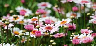 В Україні знову похолодає: синоптик назвав конкретні дати