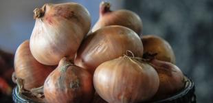 Цибуля лежатиме цілий рік і не зіпсується: який найкращий спосіб зберігання