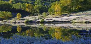 Випаде мокрий сніг і вдарять заморозки: де і коли в Україні різко погіршиться погода