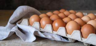 Як вибрати свіжі, смачні та якісні яйця: вісім секретів, про які мало хто знає