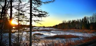 Погода на 26 грудня в Україні: повітря прогріється до +10