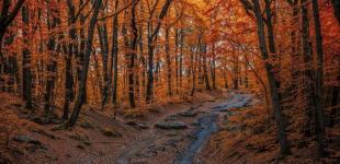 Погода у п'ятницю, 8 листопада: синоптики здивували прогнозом