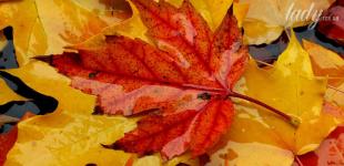 Гороскоп на 20 вересня для всіх знаків зодіаку: час, коли енергетику дня легко можна зруйнувати