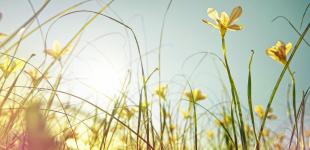 На 26 квітня в Україні прогнозують дощі та грози