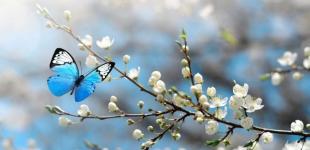 Гороскоп на 19 квітня для всіх знаків зодіаку: день, коли ми будемо на піку активності