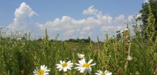 Синоптикиня попередила, кому погода 6 червня подарує приємну прохолоду, а кому спеку та грозові дощі