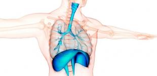 Щорічний і віковий чекап: чи обов'язково його робити та що перевіряти