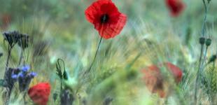 Гороскоп на 3 травня для всіх знаків зодіаку: день, коли потрібно налагоджувати стосунки