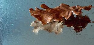 Готові до морозів?: Україну накриє новий антициклон