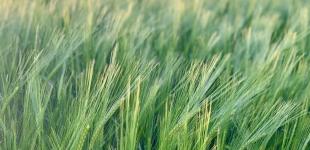 Гороскоп на 29 травня для всіх знаків зодіаку: день, коли потрібно направити сили на професійні цілі