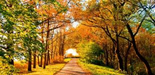 В Україні знову буде тепло: прогноз погоди на 8-13 жовтня