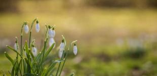 Синоптикиня дала прогноз на початок весни в Україні