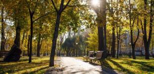 Цьогорічна осінь увійшла до трійки найтепліших в історії Києва