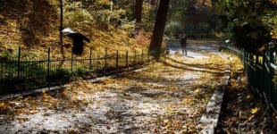 Холодніше майже на 10 градусів і заморозки: прогноз Укргідрометцентру на жовтень