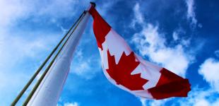 Стало відомо, скількох українців прихистила Канада