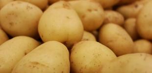 Ціни на картоплю продовжують знижуватися: з чим це пов'язано