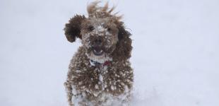 Прогноз погоди на 16 лютого в Україні: опадів не буде, температура вночі - до -11°, а вдень - до +6