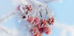 У суботу померзнемо, а у неділю відтаюватимемо: синоптики обіцяють українцям на вікенд до мінус 14