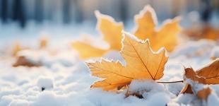 До 50 см снігу та ожеледиця: де і коли погіршиться погода в Україні