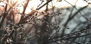 Якою буде погода в Україні 30 січня: синоптикиня зробила прогноз