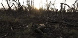 Зеленський назвав співвідношення втрат України та Росії у війни