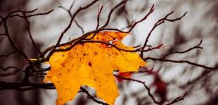 В Україні різко зміниться погода: прогноз на тиждень, 4-10 листопада