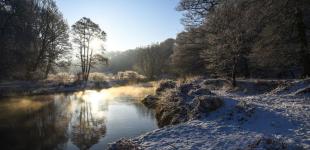 Гороскоп на 16 грудня для всіх знаків зодіаку: день, коли не рекомендується поспішати