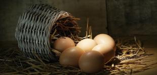 Ціни на яйця різко змінилися: скільки коштують зараз